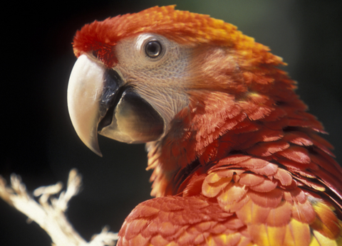 Circuit Chemins Sacrés du Guatemala et du Pacifique - 4