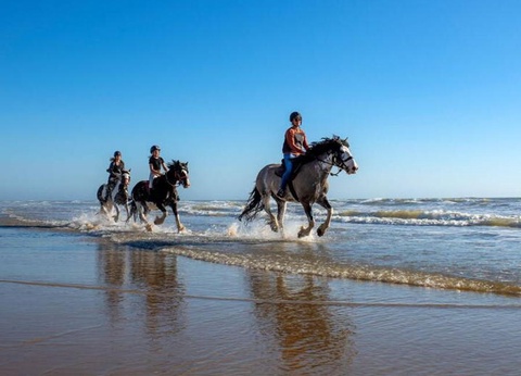 Camping Atlantic Club Montalivet, 5* - 64