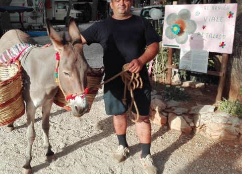 Camping Village El Bahira, 4* - 8