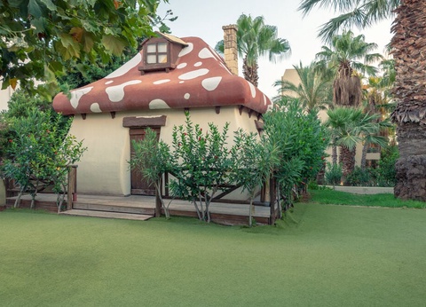 Hôtel Star Beach Village 4* - 20