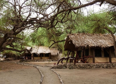 Safari Privatif - En Terre Sauvage - 24