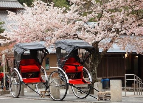 Circuit Splendeurs du Japon et Extension Tokyo - 13