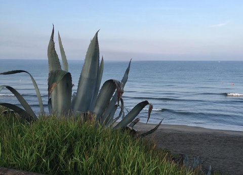 Camping Villaggio Baia Domizia, 4* - 23