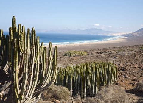 Circuit Entre plages et volcans de Lanzarote, logement au Framissima Evasion Vitalclass Lanzarote 4* - 15