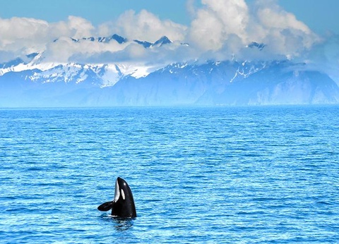 City Break 3 nuits - Printemps Islandais - 7