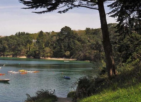 Camping de La Grande Lande, 3* - 25