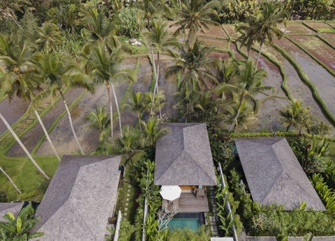 Combinés hôtel Kappa Senses Ubud 5* + hôtel Alila Seminyak 5* - 2