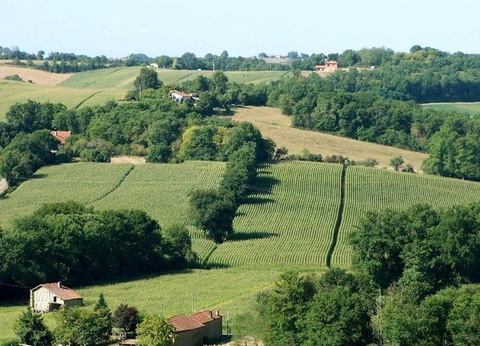 Camping Du Lac de Thoux - Ciela Village, 3* - 37