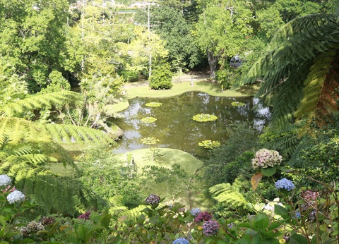 Au Coeur des Açores - Iles des Acores - 2