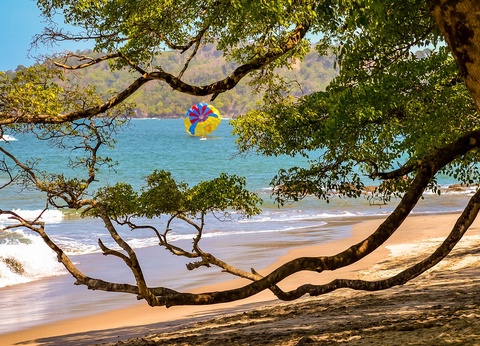 Circuit entre Jungles et Forêts du Costa Rica + extension Playa Samara - 38