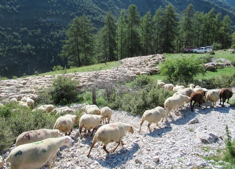 Camping La Ribière, 3* - 2