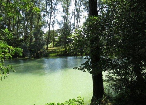 Camping La Bastide, 3* - 18