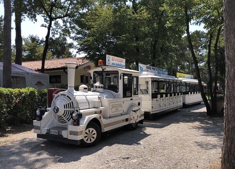 Camping Mare Pineta, 4* - 48