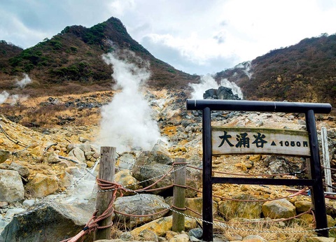 Circuit évènement : Hanami, le réveil des cerisiers - 7