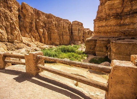 Combiné circuit et hôtel Circuit Plage au Framissima Golf Beach Djerba et désert de Tozeur **** - 17