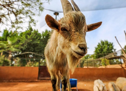 Domaine Villate Limoune By Ôvoyages 4* - 16