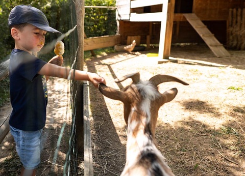 Camping Sites et Paysages - L'Etang de Brissac, 4* - 29