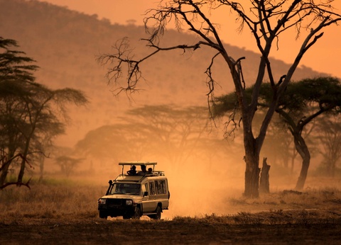 Circuit Légendes du Cap et de la savane **** - 19
