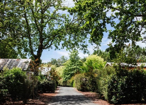 Camping Domaine Les Oréades, 5* - 65