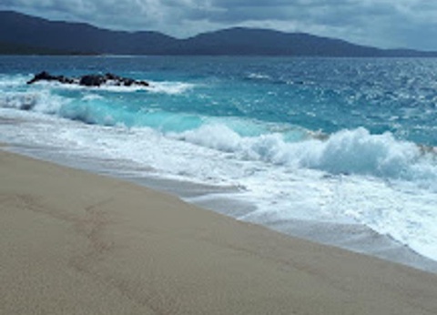 Camping l'Esplanade, 4* - 35