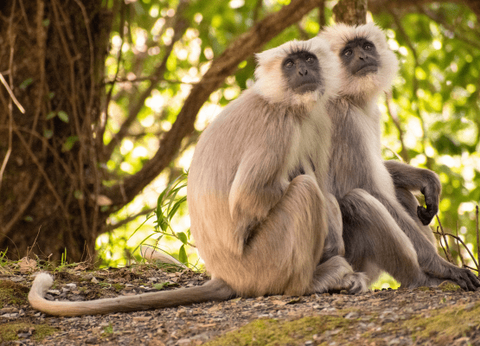 Circuit Lotus du Vietnam - 10