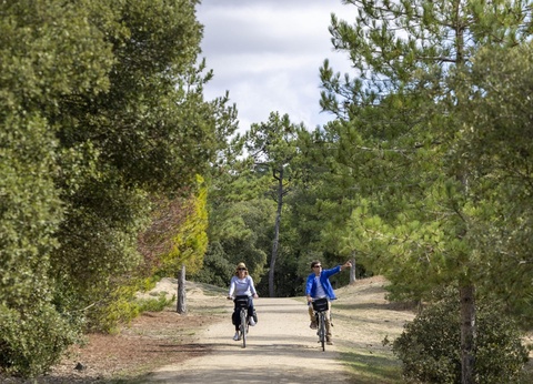 Camping La Davière Plage 4* - 11