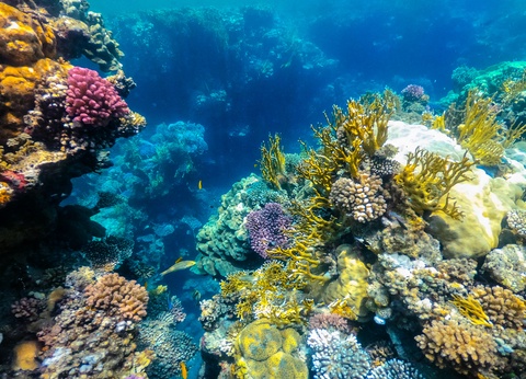 Combiné Fabuleuse Egypte et Sataya - 33