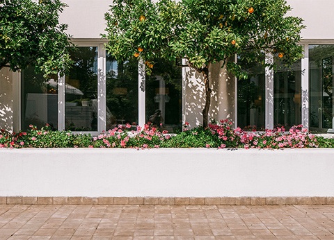 Club Framissima Costanza Selinunte 4* - 17