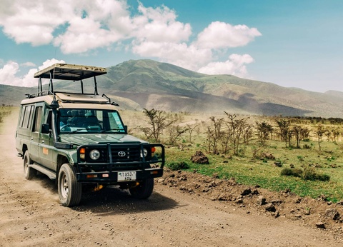 Circuit Lumières d'Afrique Safari au coeur du Kenya - 2