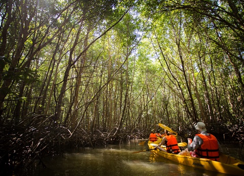 Circuit Du Parc National de Khao Sok aux Sables de Khao Lak - 5