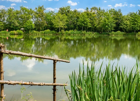 Camping Campilo 4* - 3