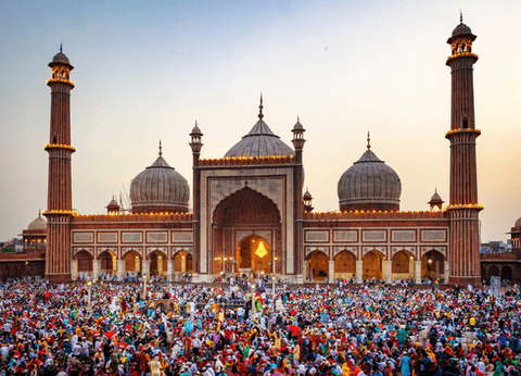 Circuit Sur les pas des Maharajas et le Népal - 7