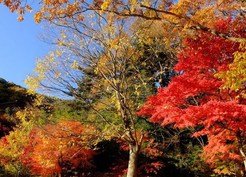 Le Royaume du Matin calme + Ile de Jeju - Corée du Sud - 24
