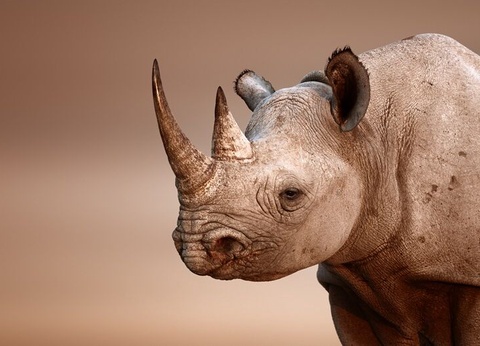 Circuit Découverte de la Namibie - 3