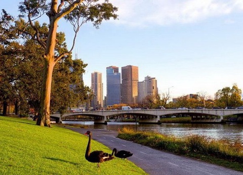 La Grande Traversée de l'Australie - 20