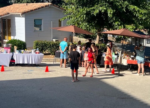 Camping Parc des Fontanettes, 4* - 22