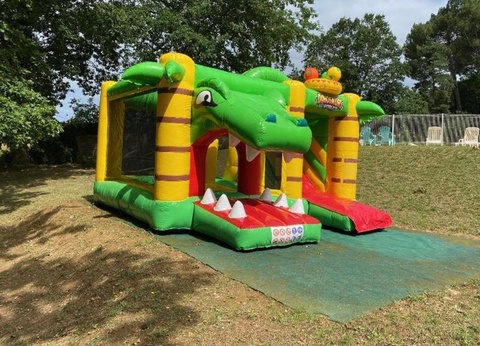 Camping Domaine des Grands Pins 4* - 27