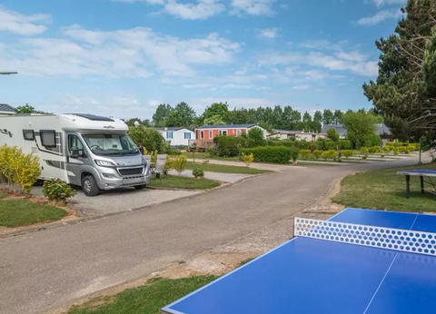 Flower Camping Vitamin, 4* - 15