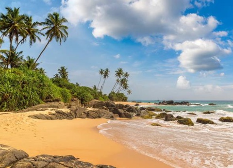 Circuit Ceylan Bonheur - 22