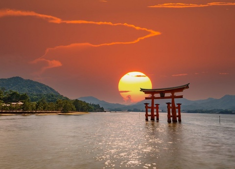 Magie du Japon ext. Tokyo - Vol Air France - 16J/14N - 2025 - 8