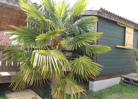 Les Chalets d'Auvergne, 4* - 21