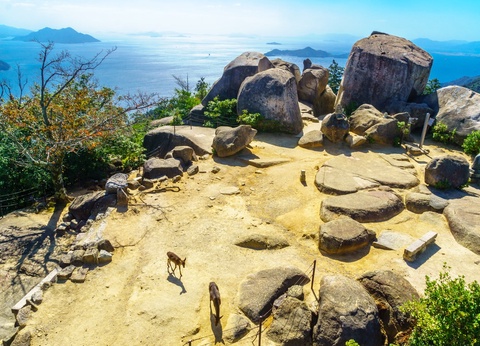 Circuit individuel: Monts et mers veillent en 3*ou 4* - 21