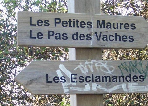 Camping Les Lauriers Roses, 4* - 57