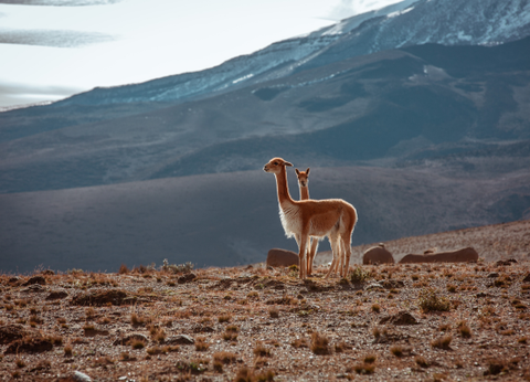 Circuit Equateur, Aventure entre 2 Hémisphères - 28