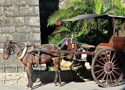 Circuit Nord Luzon, volcans et rizières des Philippines - 10