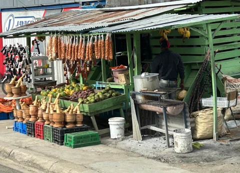 Circuit Plages du Jumbo Marien Puerto Plata et nature du nord dominicain **** - 31