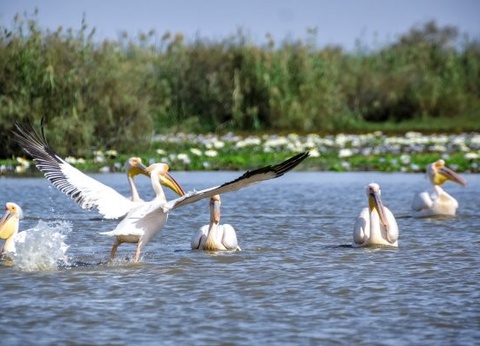 Circuit Mythes & charmes du Sénégal en privatif *** - 2