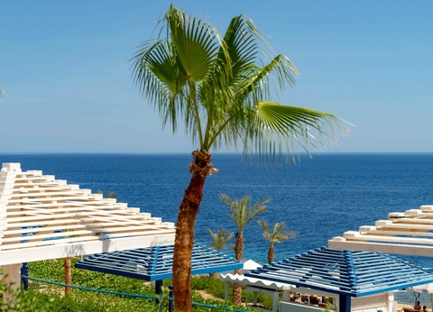 Hôtel Grand Oasis Resort 4* - 3