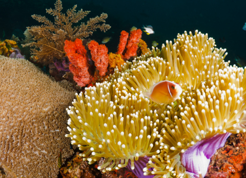 Circuit Aventures en Famille à Bali 4* - 3