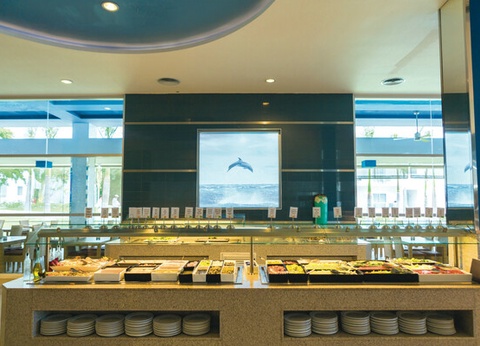 Hôtel Riu Playacar ***** - 9